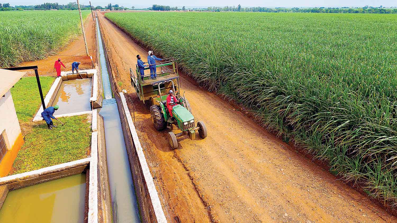 In the most significant deal of the quarter, the Eswatini Competition Commission approved the acquisition of Tambuti Estate from United Plantations Swaziland (UPS) by the Public Service Pensions Fund. (Courtesy pics)